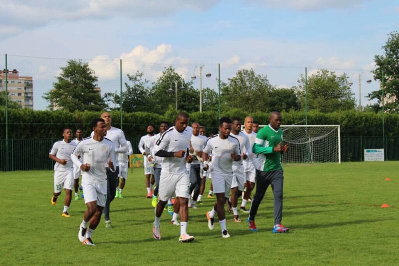 2018 World Cup: NFF Will Make Sure Eagles Prepare Well For Zambia
